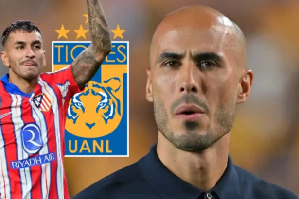 angel correa