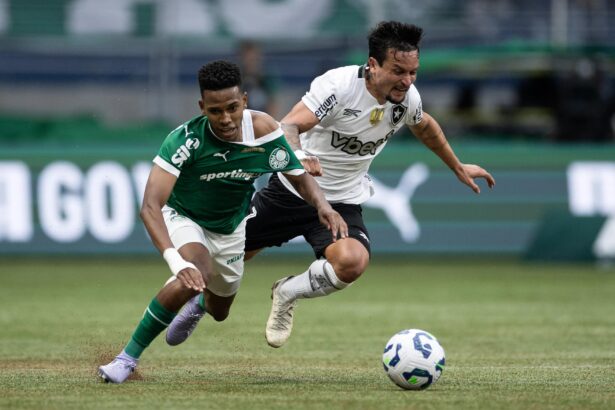 Palmeiras vs Botafogo: Dónde ver y hora, octavos de final mundial de clubes